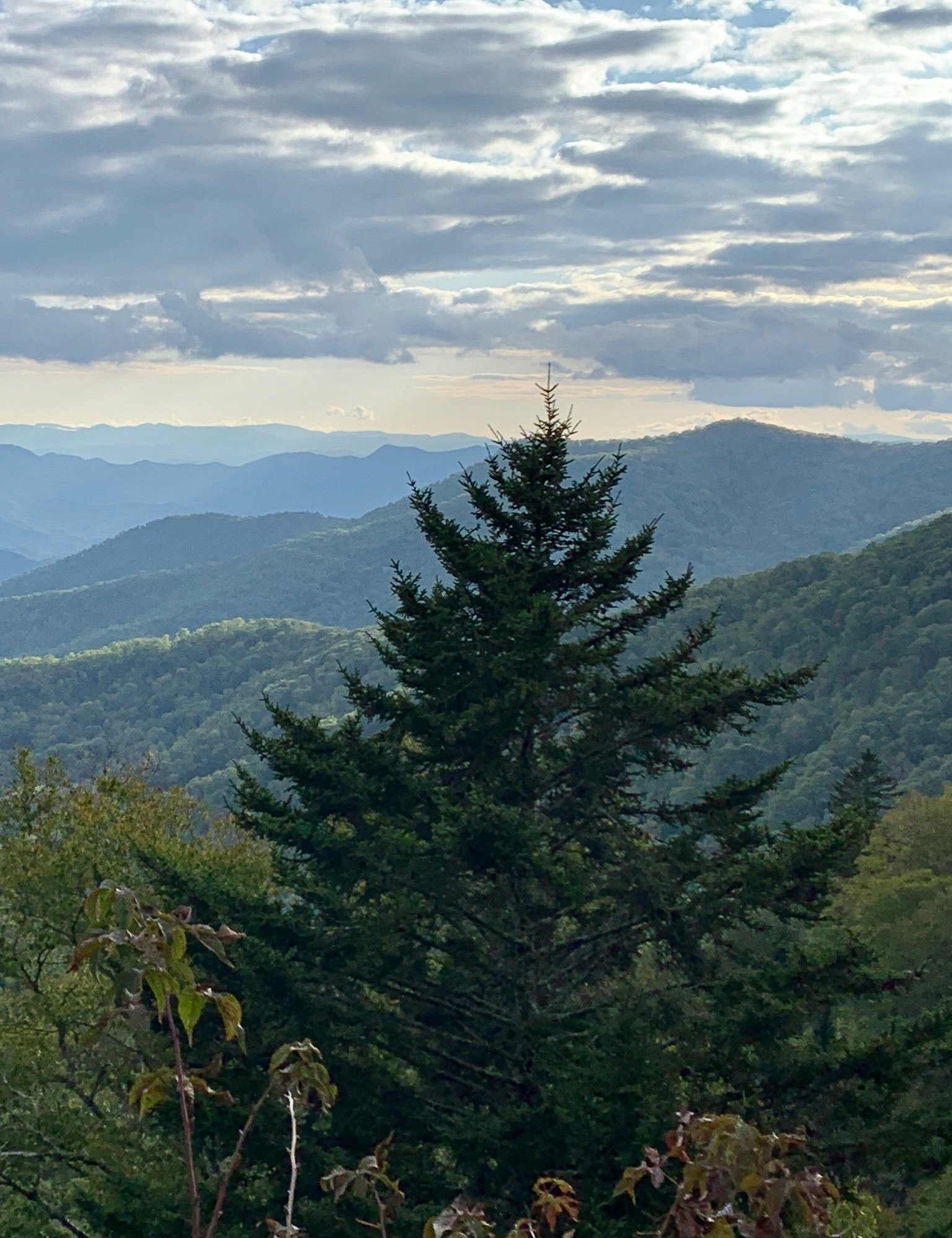 philip-cummings-8NGPZi9p-_Q-unsplash